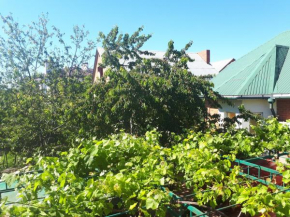 Guest House on Partizanskaya